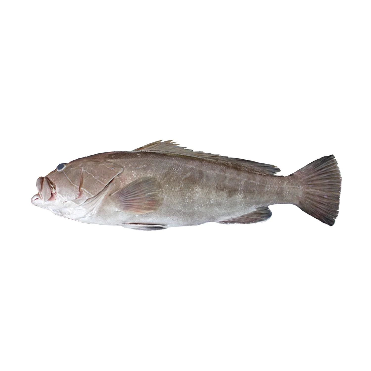 وقار